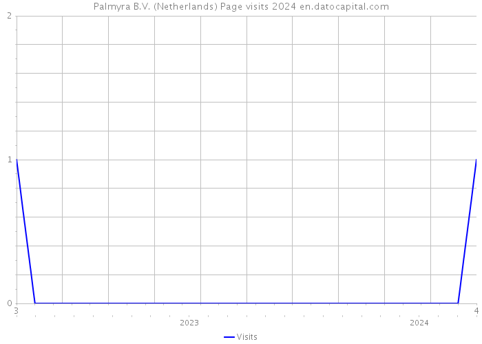 Palmyra B.V. (Netherlands) Page visits 2024 