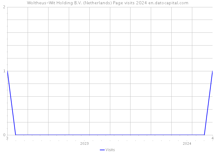 Woltheus-Wit Holding B.V. (Netherlands) Page visits 2024 