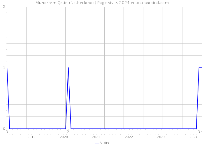 Muharrem Çetin (Netherlands) Page visits 2024 