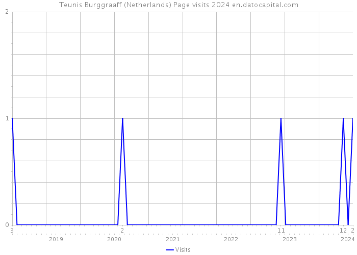 Teunis Burggraaff (Netherlands) Page visits 2024 
