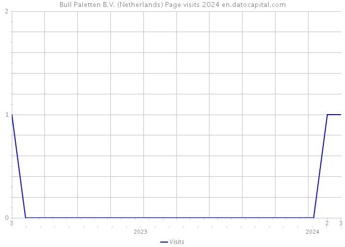 Bull Paletten B.V. (Netherlands) Page visits 2024 