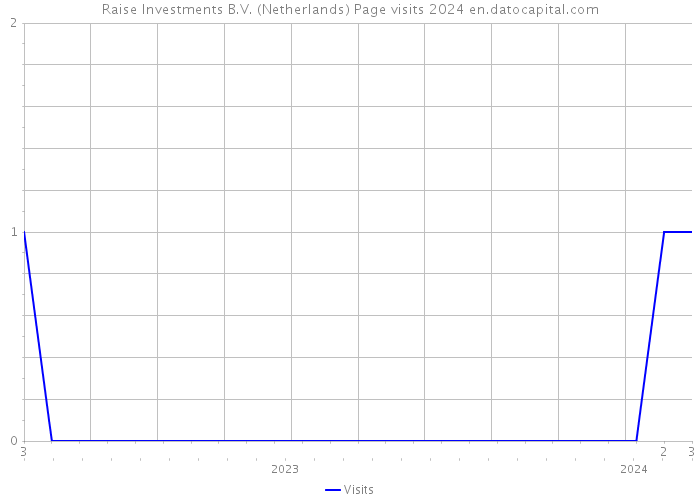 Raise Investments B.V. (Netherlands) Page visits 2024 