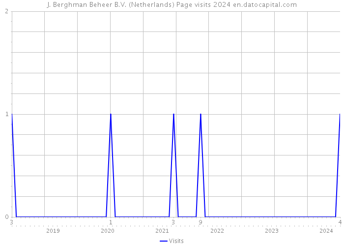 J. Berghman Beheer B.V. (Netherlands) Page visits 2024 