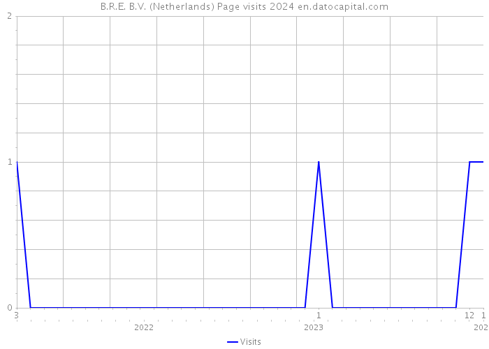 B.R.E. B.V. (Netherlands) Page visits 2024 
