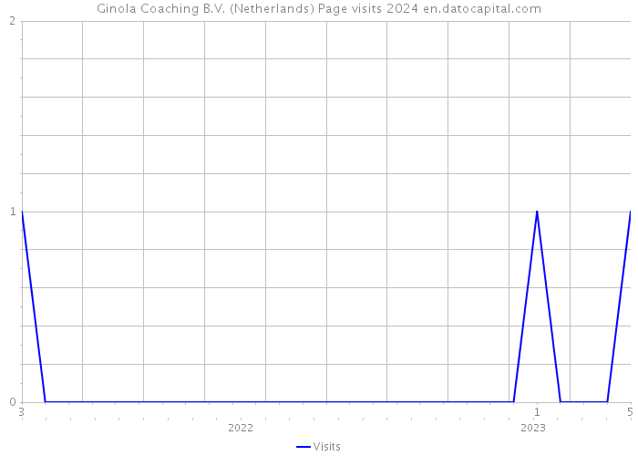 Ginola Coaching B.V. (Netherlands) Page visits 2024 