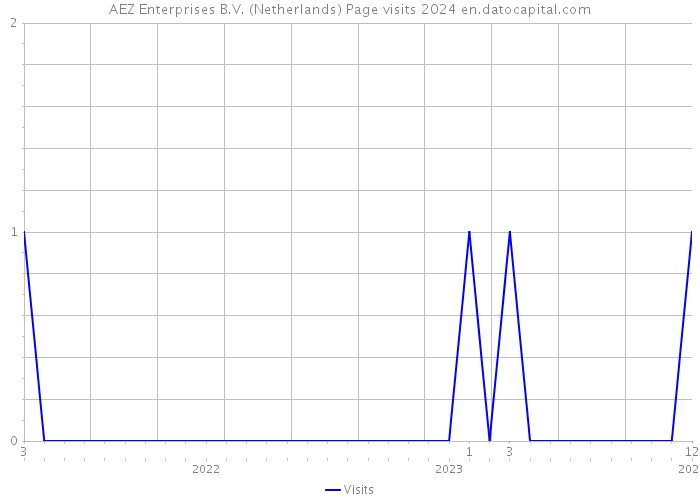 AEZ Enterprises B.V. (Netherlands) Page visits 2024 