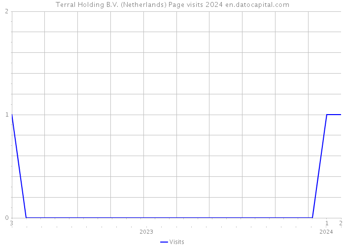 Terral Holding B.V. (Netherlands) Page visits 2024 