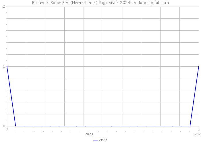 BrouwersBouw B.V. (Netherlands) Page visits 2024 