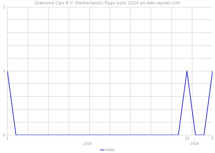 Diamond Cars B.V. (Netherlands) Page visits 2024 