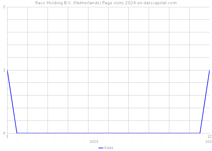 Raco Holding B.V. (Netherlands) Page visits 2024 