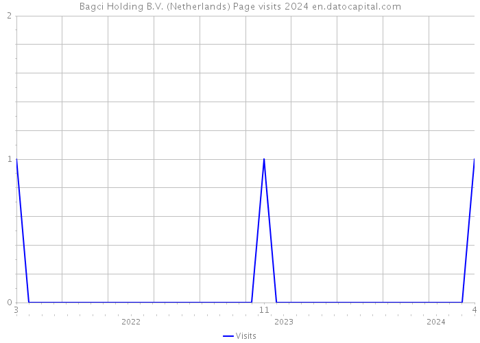 Bagci Holding B.V. (Netherlands) Page visits 2024 