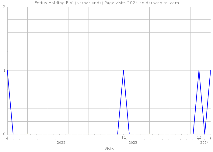 Entius Holding B.V. (Netherlands) Page visits 2024 
