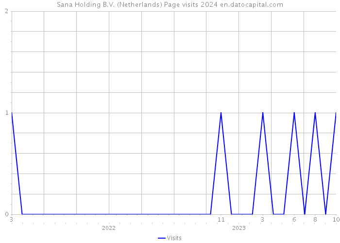 Sana Holding B.V. (Netherlands) Page visits 2024 