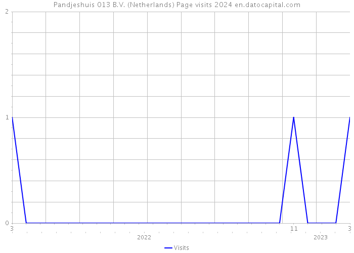 Pandjeshuis 013 B.V. (Netherlands) Page visits 2024 