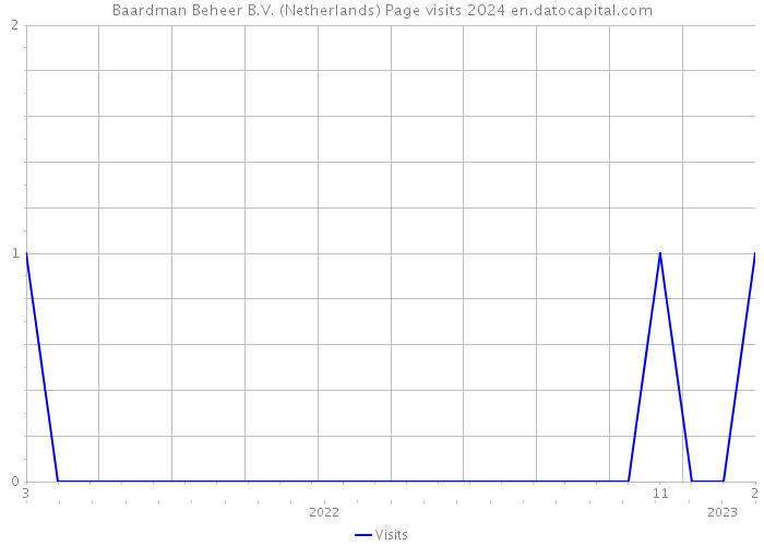 Baardman Beheer B.V. (Netherlands) Page visits 2024 