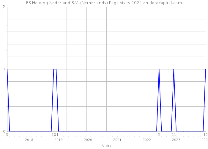 FB Holding Nederland B.V. (Netherlands) Page visits 2024 