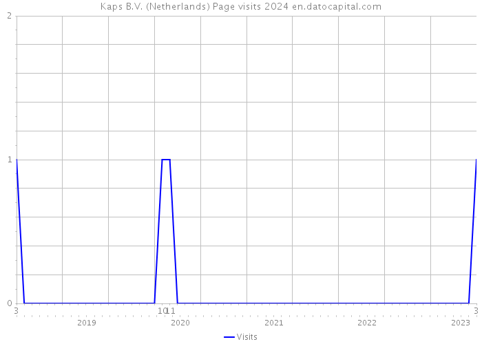 Kaps B.V. (Netherlands) Page visits 2024 