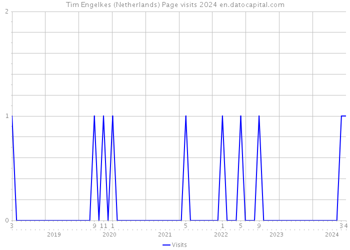 Tim Engelkes (Netherlands) Page visits 2024 