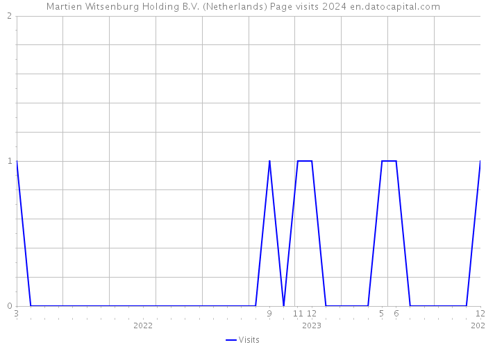 Martien Witsenburg Holding B.V. (Netherlands) Page visits 2024 