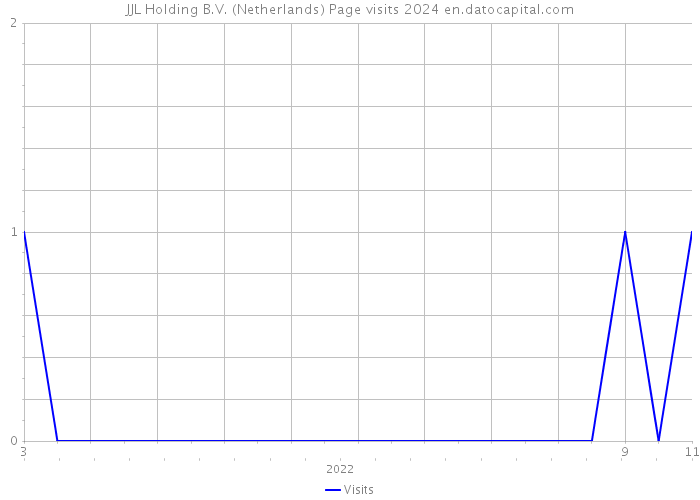JJL Holding B.V. (Netherlands) Page visits 2024 