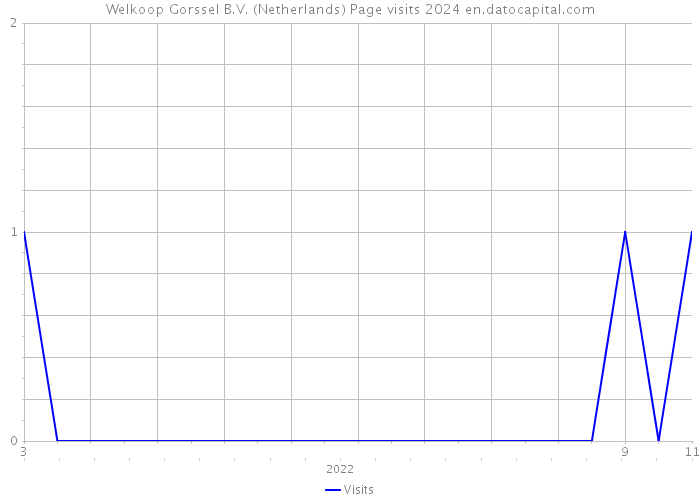 Welkoop Gorssel B.V. (Netherlands) Page visits 2024 