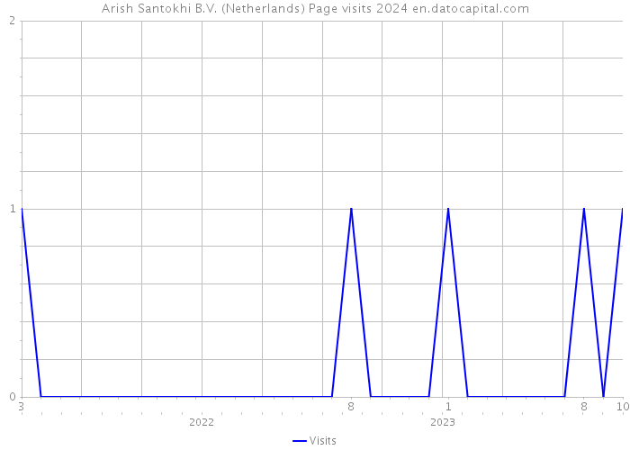 Arish Santokhi B.V. (Netherlands) Page visits 2024 