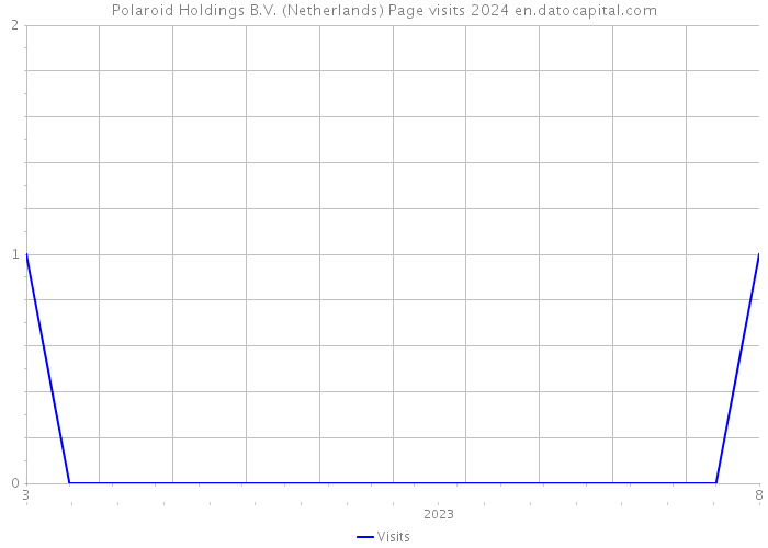 Polaroid Holdings B.V. (Netherlands) Page visits 2024 