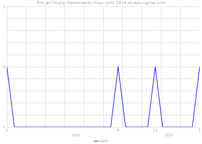 Pim Jan Hoyng (Netherlands) Page visits 2024 