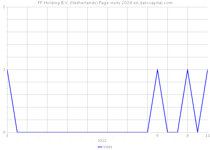 FF Holding B.V. (Netherlands) Page visits 2024 