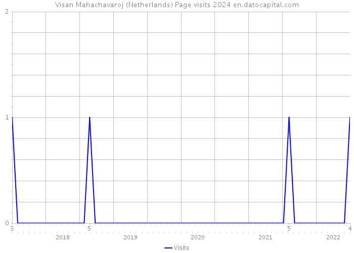 Visan Mahachavaroj (Netherlands) Page visits 2024 