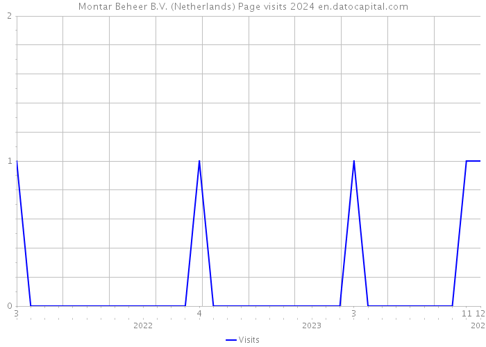 Montar Beheer B.V. (Netherlands) Page visits 2024 