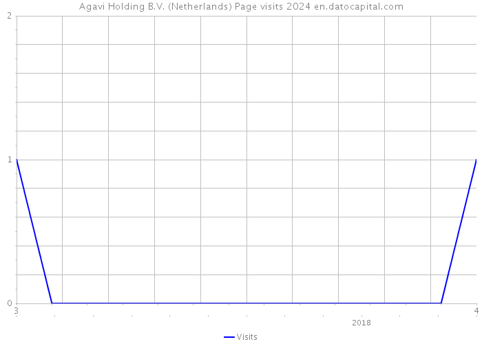 Agavi Holding B.V. (Netherlands) Page visits 2024 