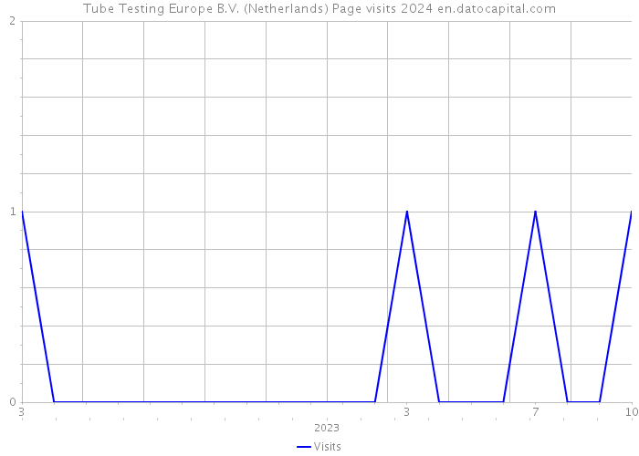 Tube Testing Europe B.V. (Netherlands) Page visits 2024 