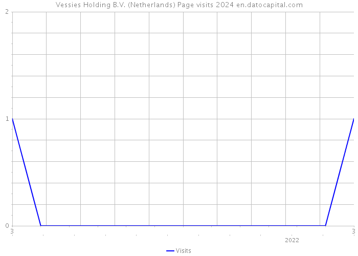 Vessies Holding B.V. (Netherlands) Page visits 2024 