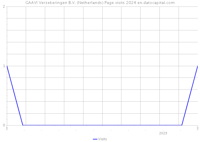 GAAV! Verzekeringen B.V. (Netherlands) Page visits 2024 