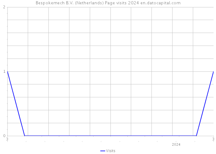 Bespokemech B.V. (Netherlands) Page visits 2024 