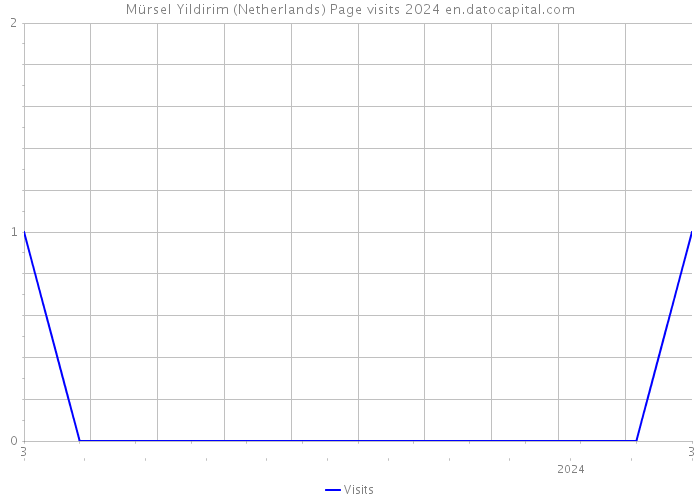 Mürsel Yildirim (Netherlands) Page visits 2024 