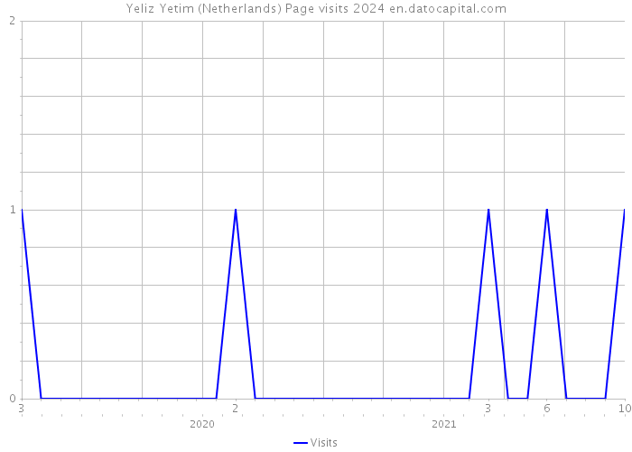 Yeliz Yetim (Netherlands) Page visits 2024 