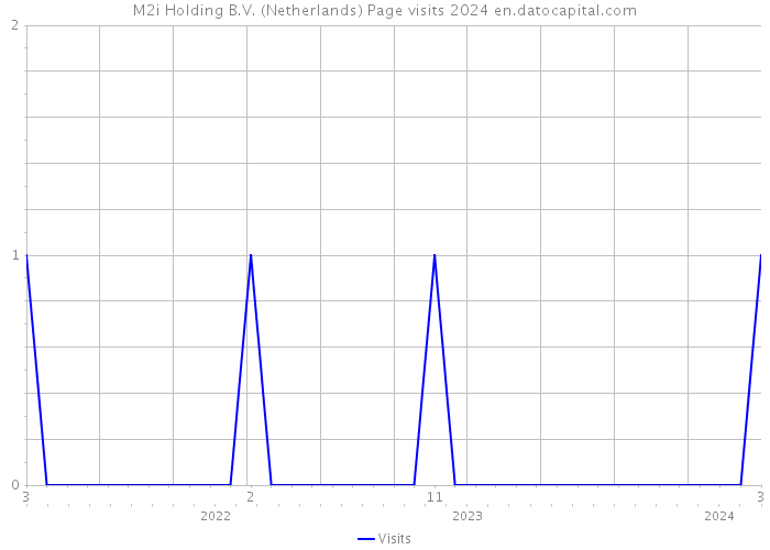 M2i Holding B.V. (Netherlands) Page visits 2024 
