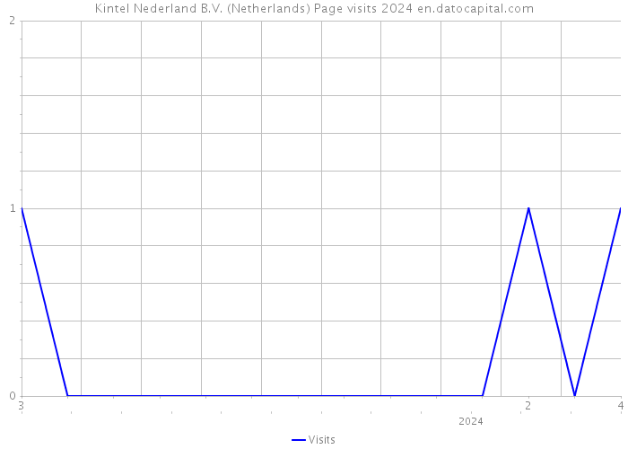 Kintel Nederland B.V. (Netherlands) Page visits 2024 