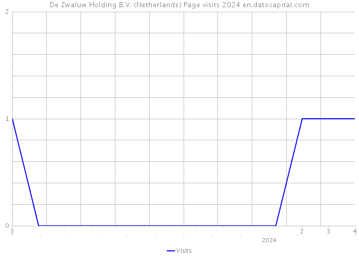 De Zwaluw Holding B.V. (Netherlands) Page visits 2024 