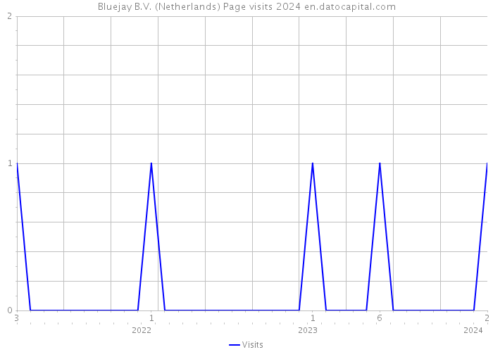 Bluejay B.V. (Netherlands) Page visits 2024 