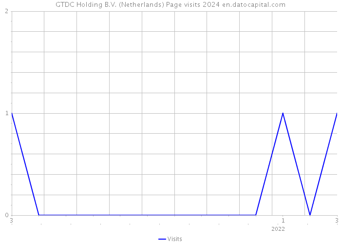 GTDC Holding B.V. (Netherlands) Page visits 2024 
