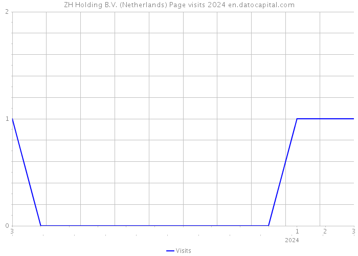 ZH Holding B.V. (Netherlands) Page visits 2024 