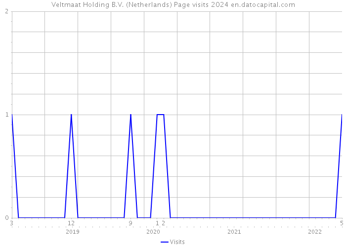 Veltmaat Holding B.V. (Netherlands) Page visits 2024 