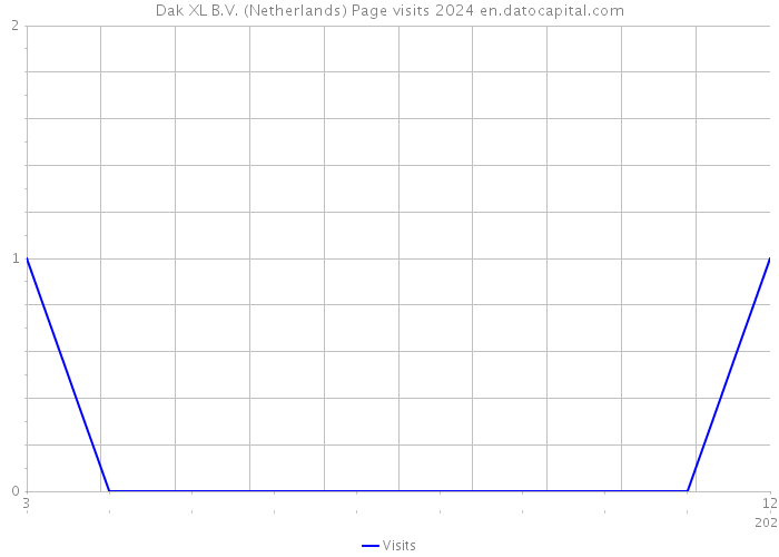 Dak XL B.V. (Netherlands) Page visits 2024 