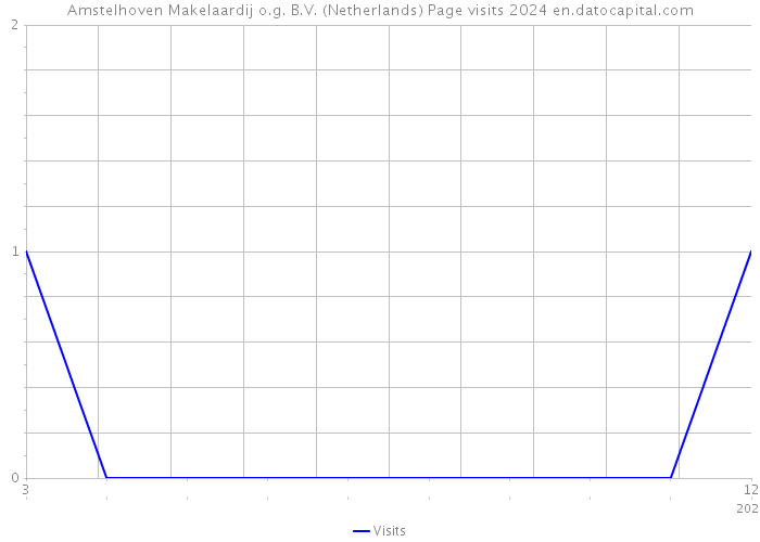 Amstelhoven Makelaardij o.g. B.V. (Netherlands) Page visits 2024 