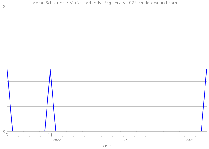 Mega-Schutting B.V. (Netherlands) Page visits 2024 