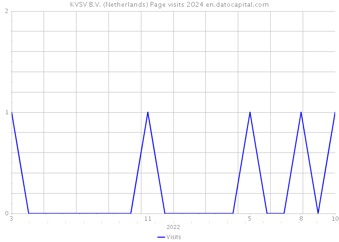 KVSV B.V. (Netherlands) Page visits 2024 