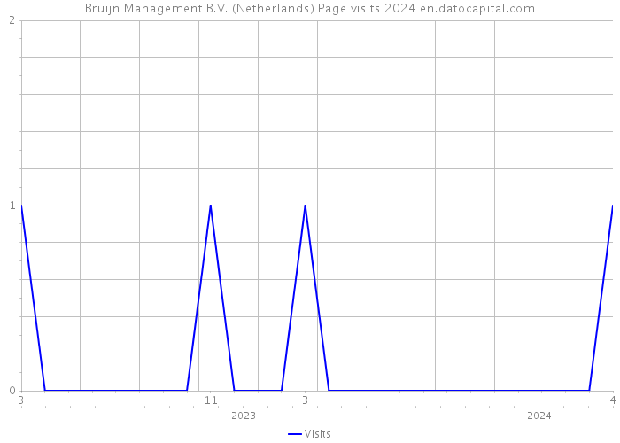 Bruijn Management B.V. (Netherlands) Page visits 2024 